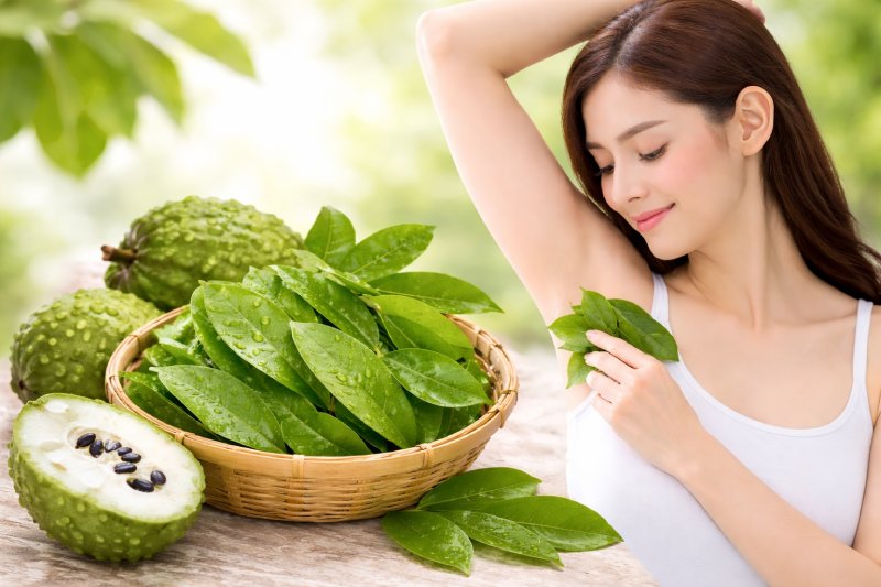 Trị hôi nách bằng lá na